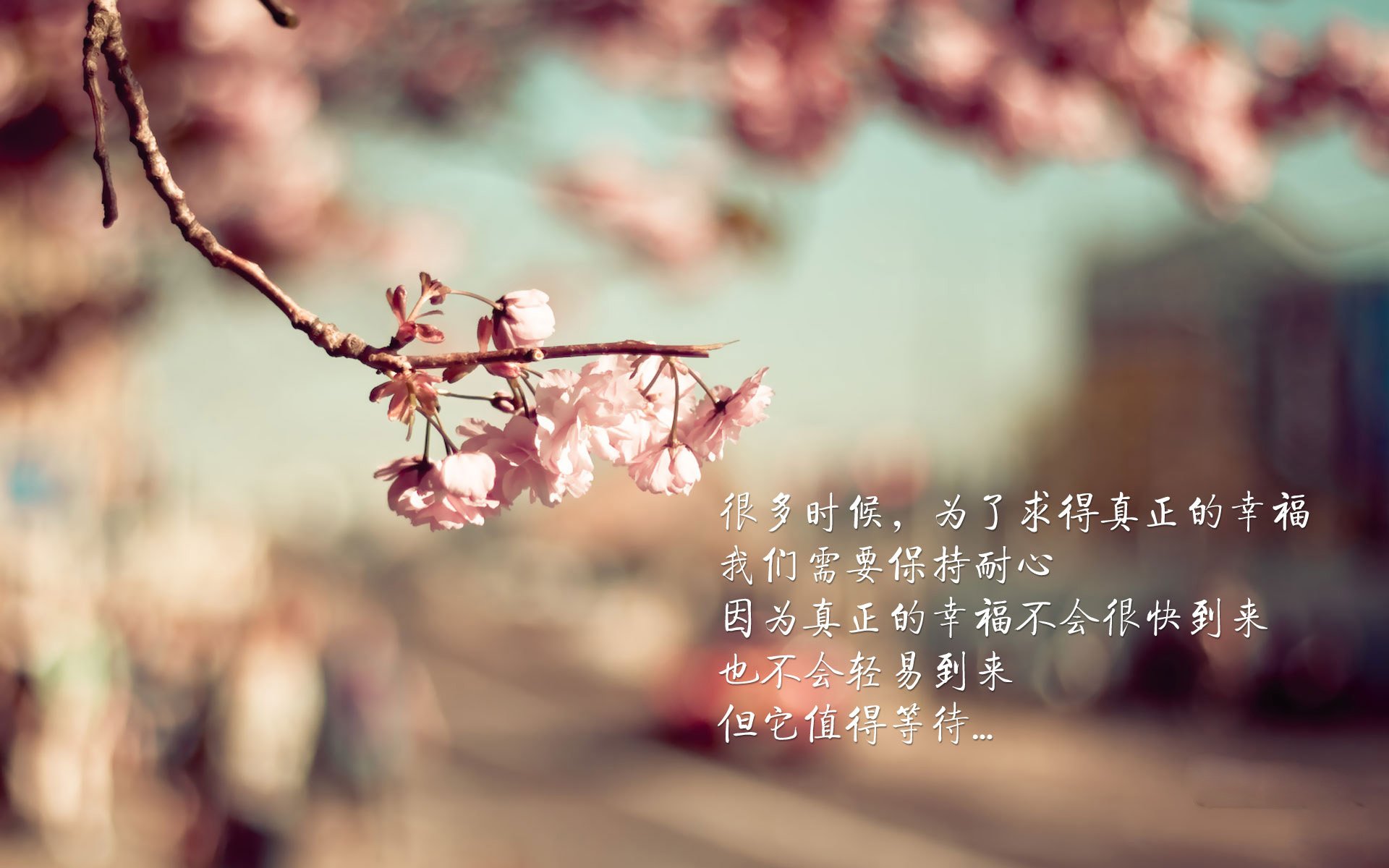 MILAN体育-法甲激情四溢：天王球星的神级表现，法甲天才球员